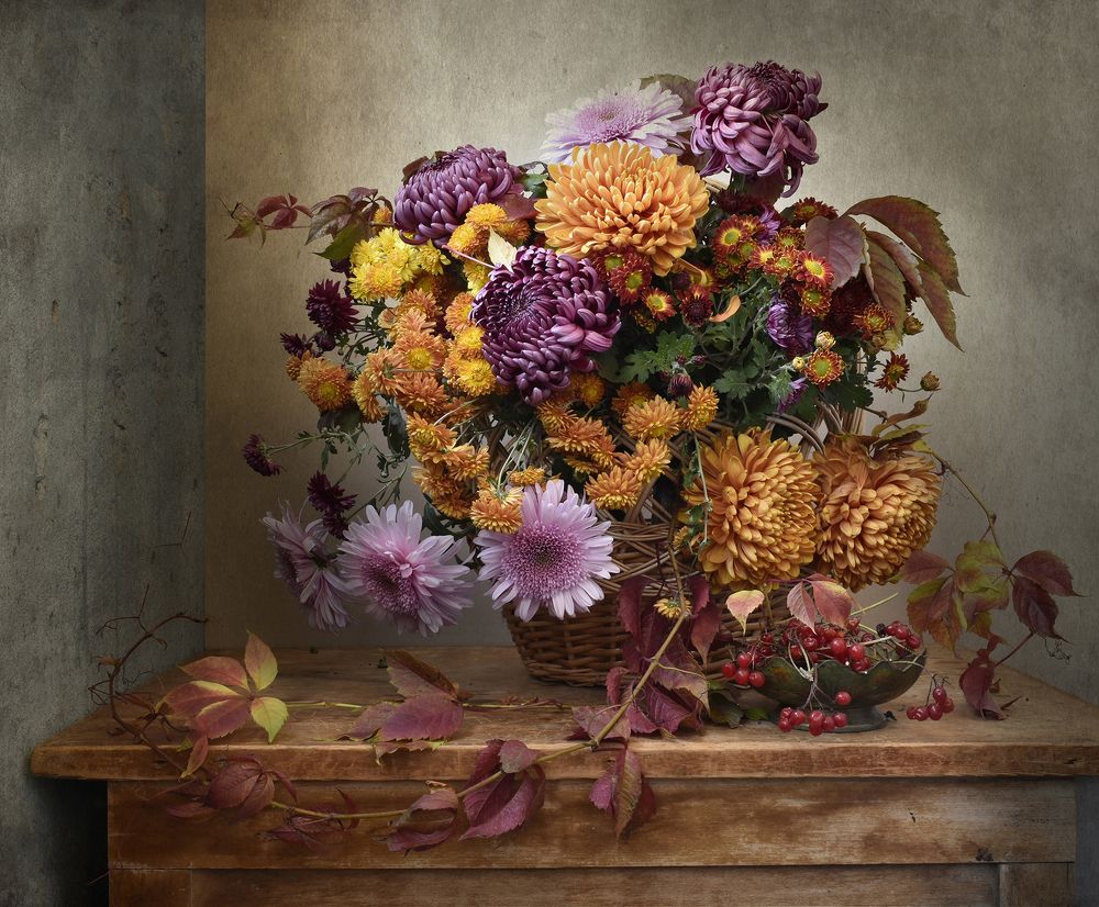 Фотография автора Шипунова Ирина