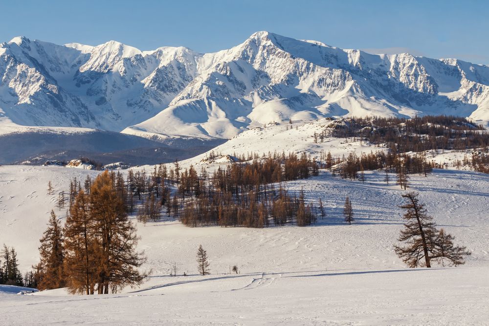 Северо - Чуйский хребет. Зима.