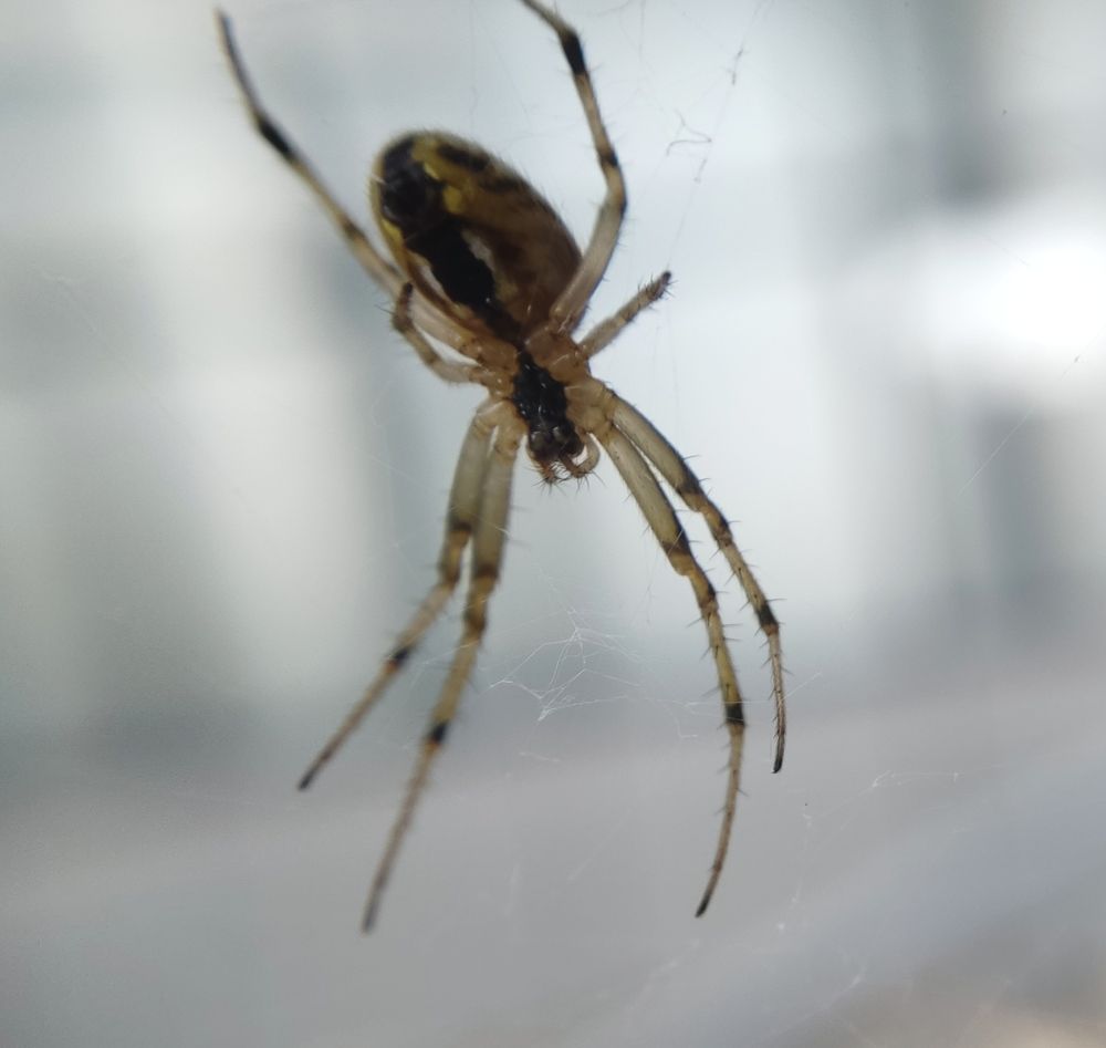 Фотография автора Станислав Ермолин