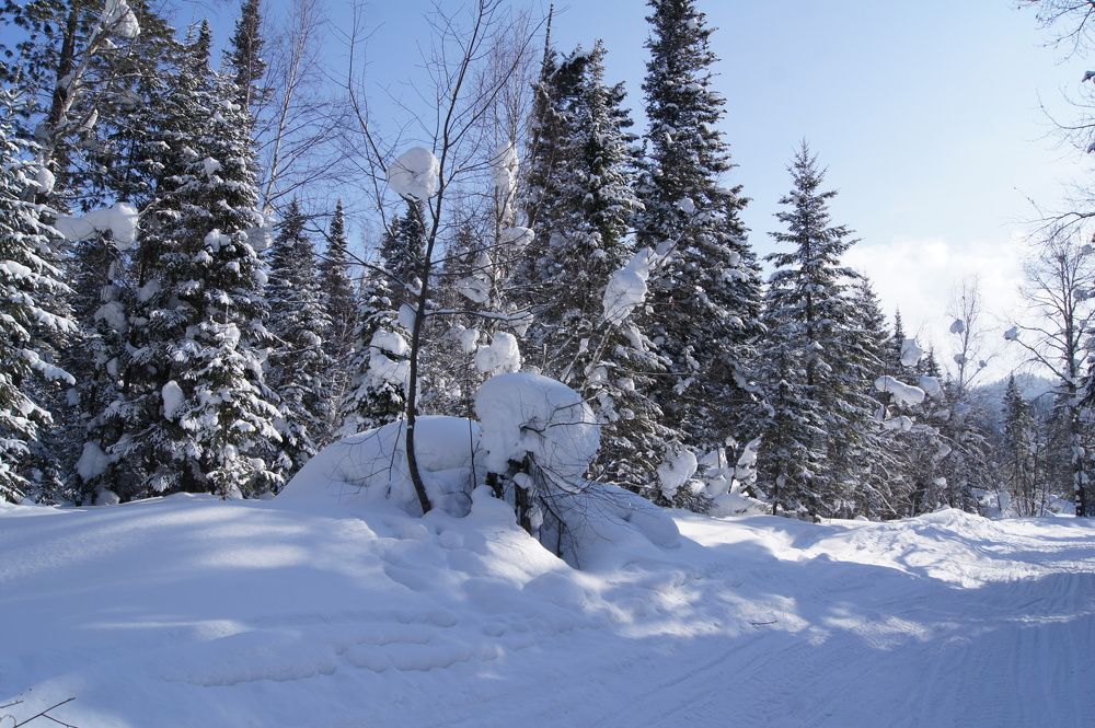 Photograph by Марина Рохлина