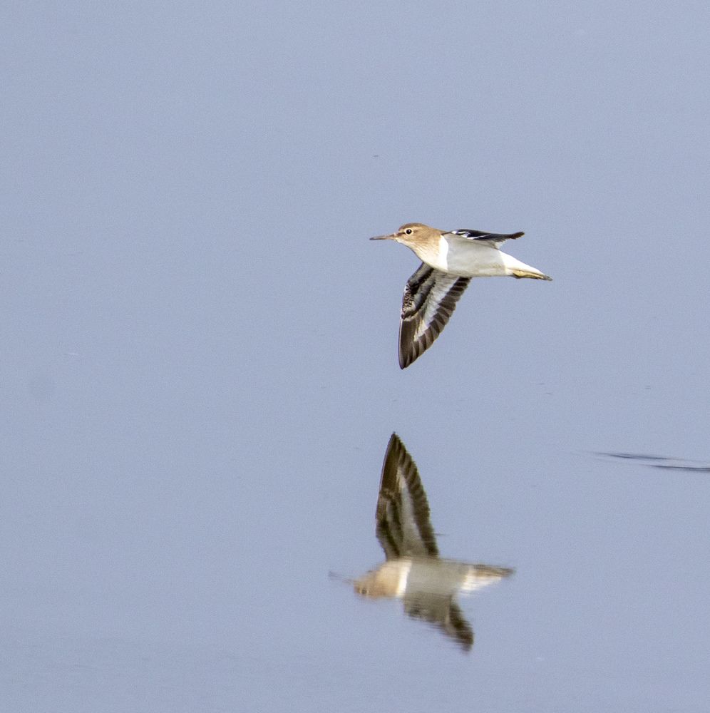 Photograph by Валентина Лопаткина