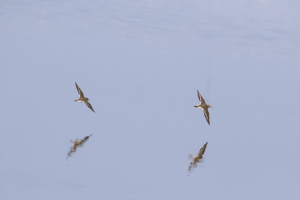 Photograph by Валентина Лопаткина