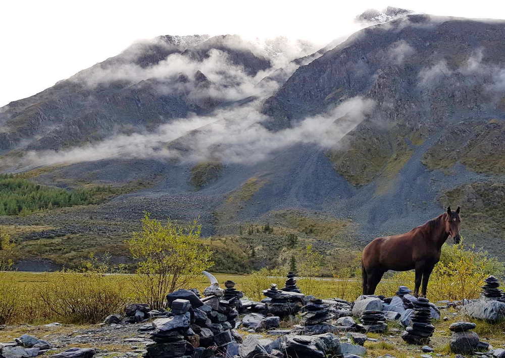 Photograph by ALEKSANDRA KUZNETSOVA