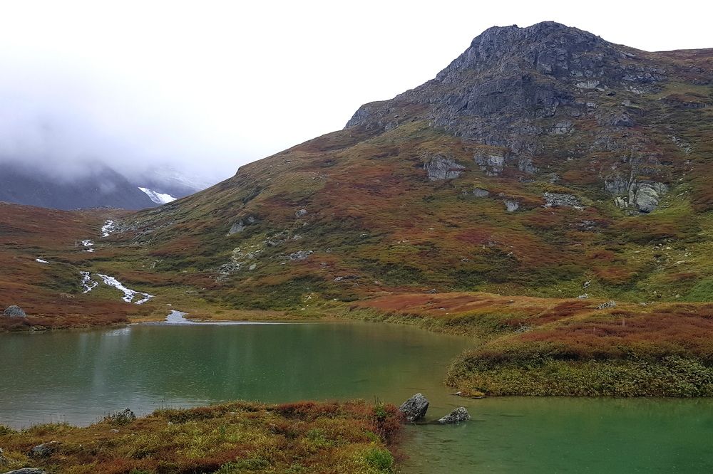 Photograph by ALEKSANDRA KUZNETSOVA