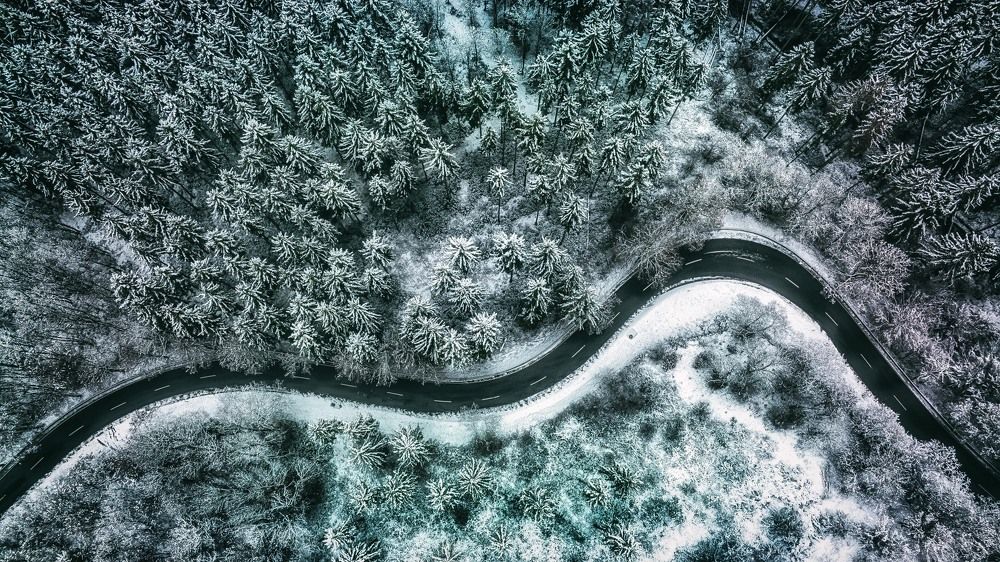 Photograph by Guy Krier