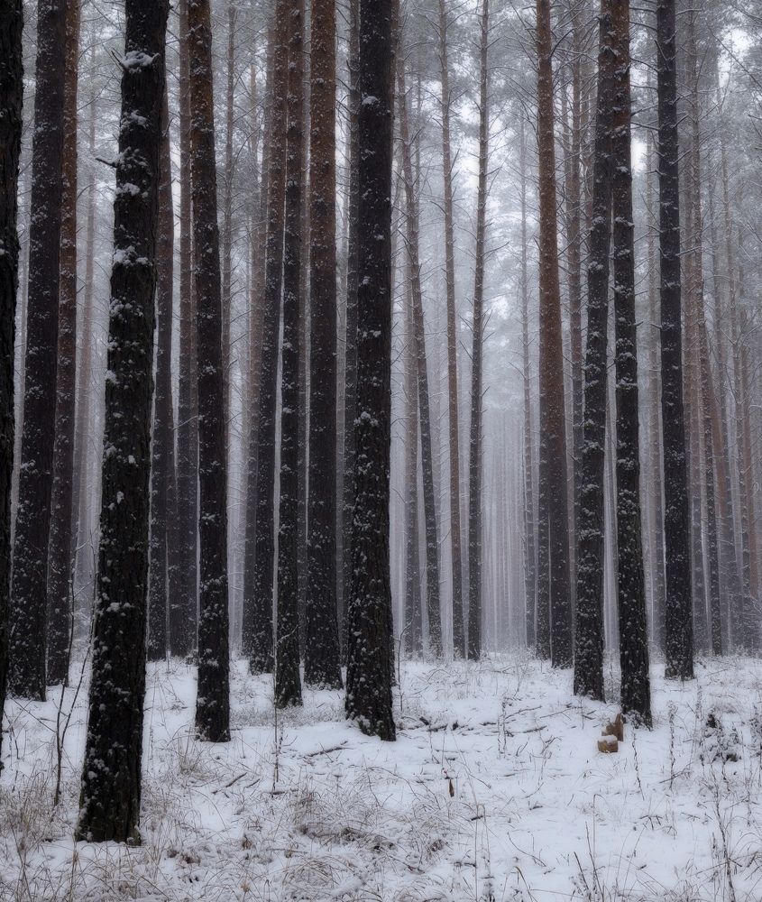Фотография автора Кирилл Баканов
