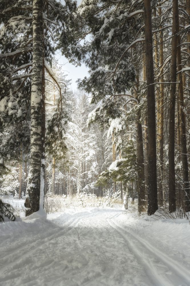 Фотография автора Кирилл Баканов