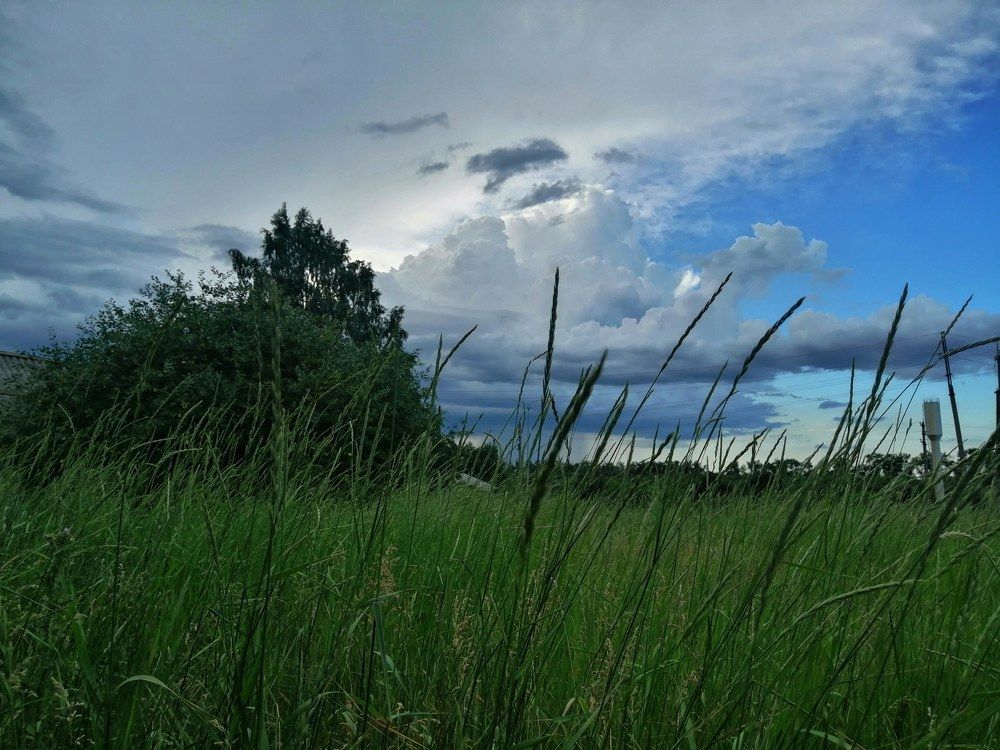 Photograph by Лиана Ратия