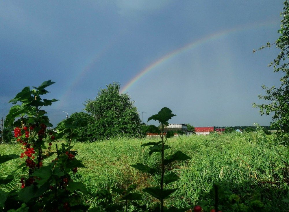 Photograph by Лиана Ратия