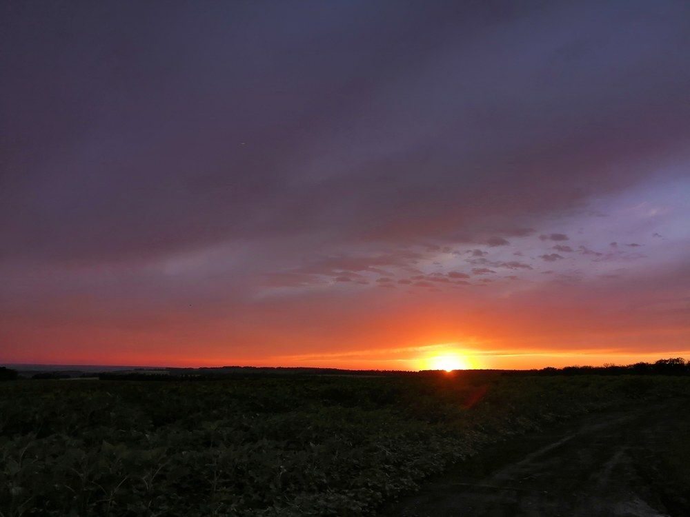 Photograph by Лиана Ратия