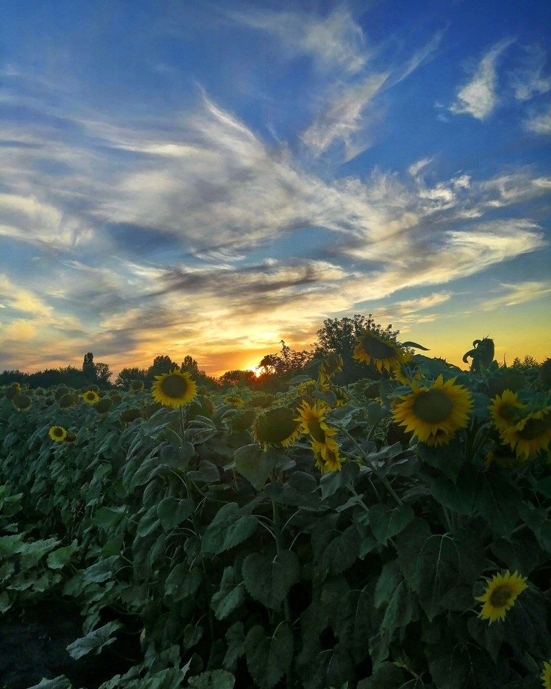 Photograph by Лиана Ратия