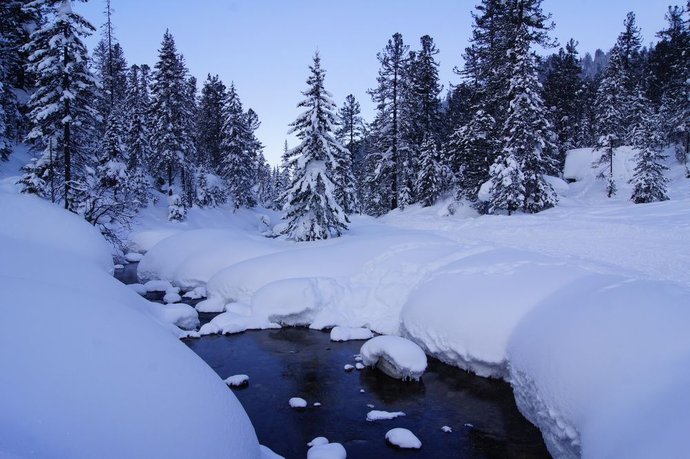 Photograph by Марина Рохлина