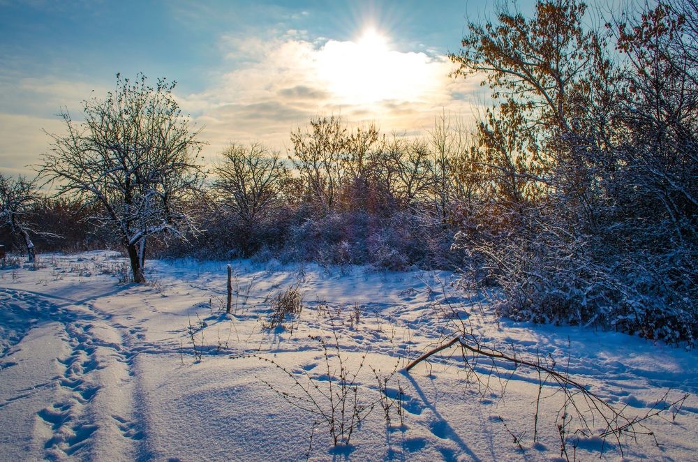 Photograph by Лиана Ратия