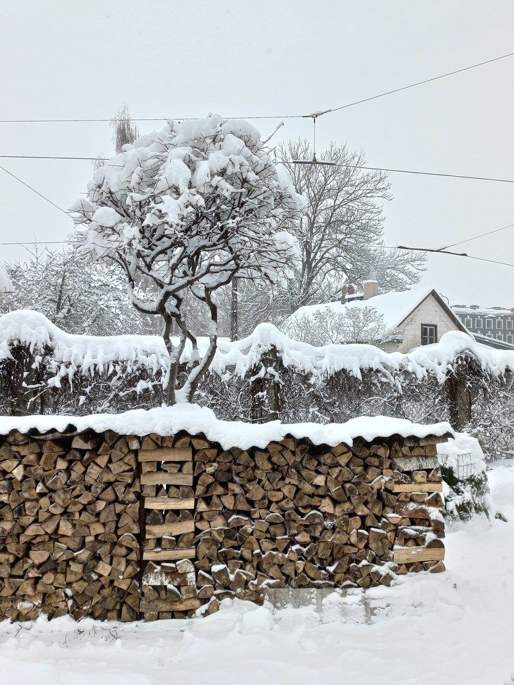 Photograph by Ирина Калюжная