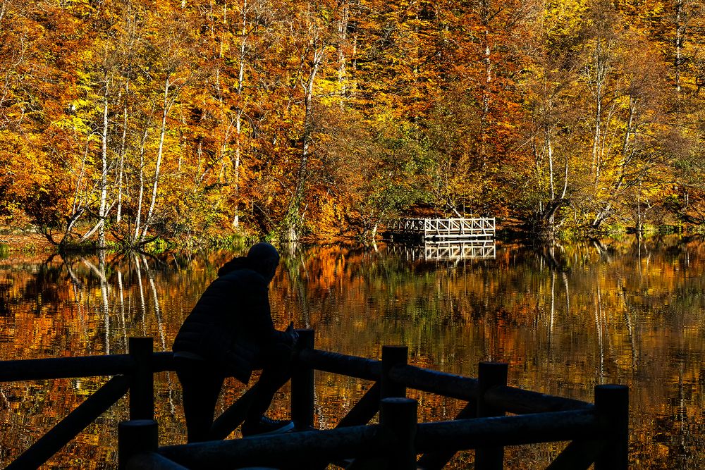 Фотография автора Fikriye Er
