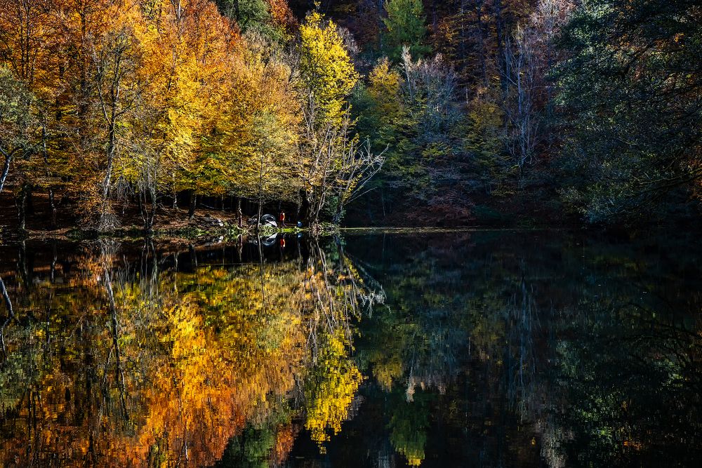 Фотография автора Fikriye Er