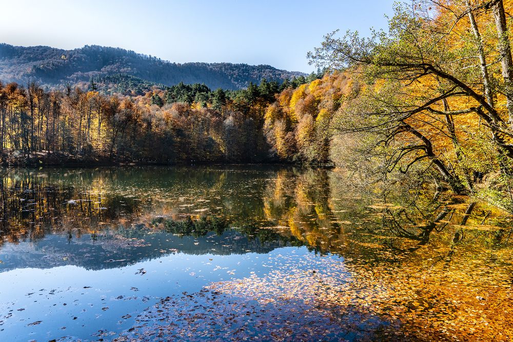 Фотография автора Fikriye Er