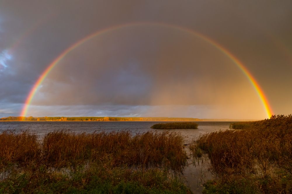 Photograph by JANIS BIJA