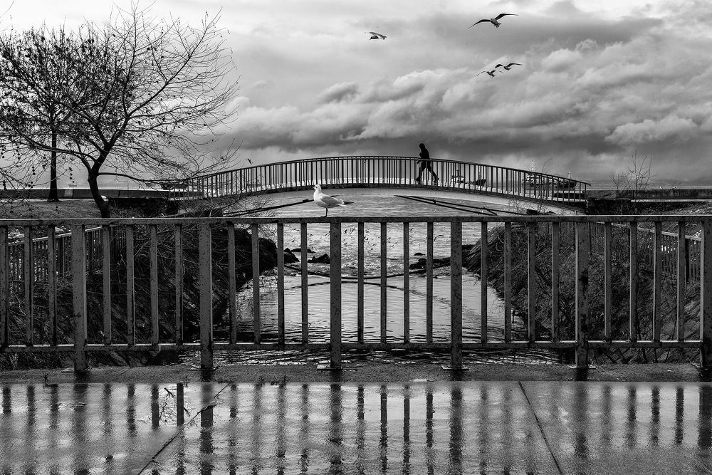 Фотография автора Fikriye Er