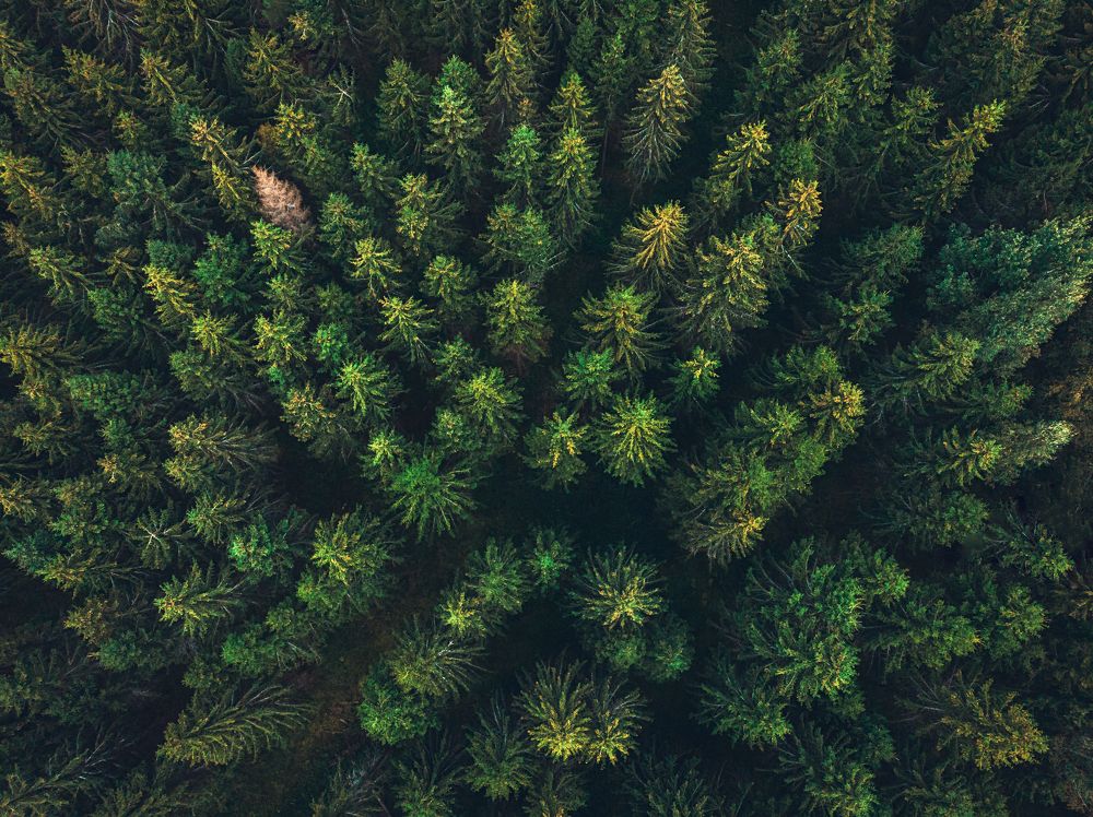 Photograph by Olegs Bucis