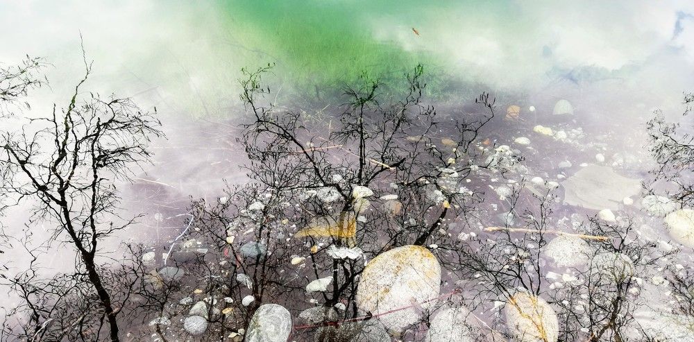 Photograph by Лариса Неудачина