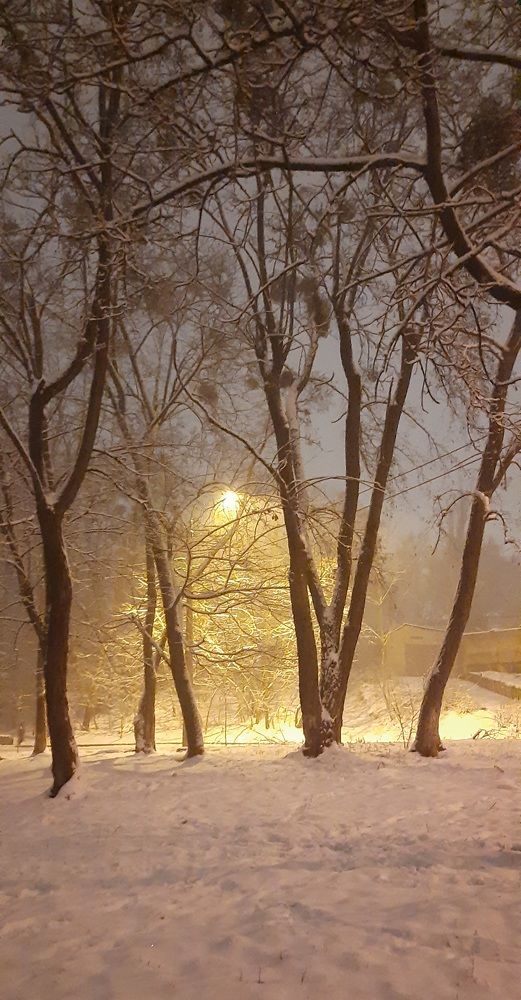 Photograph by Зоя Уколова
