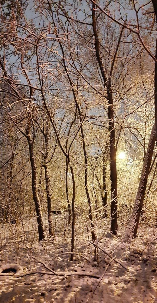 Photograph by Зоя Уколова
