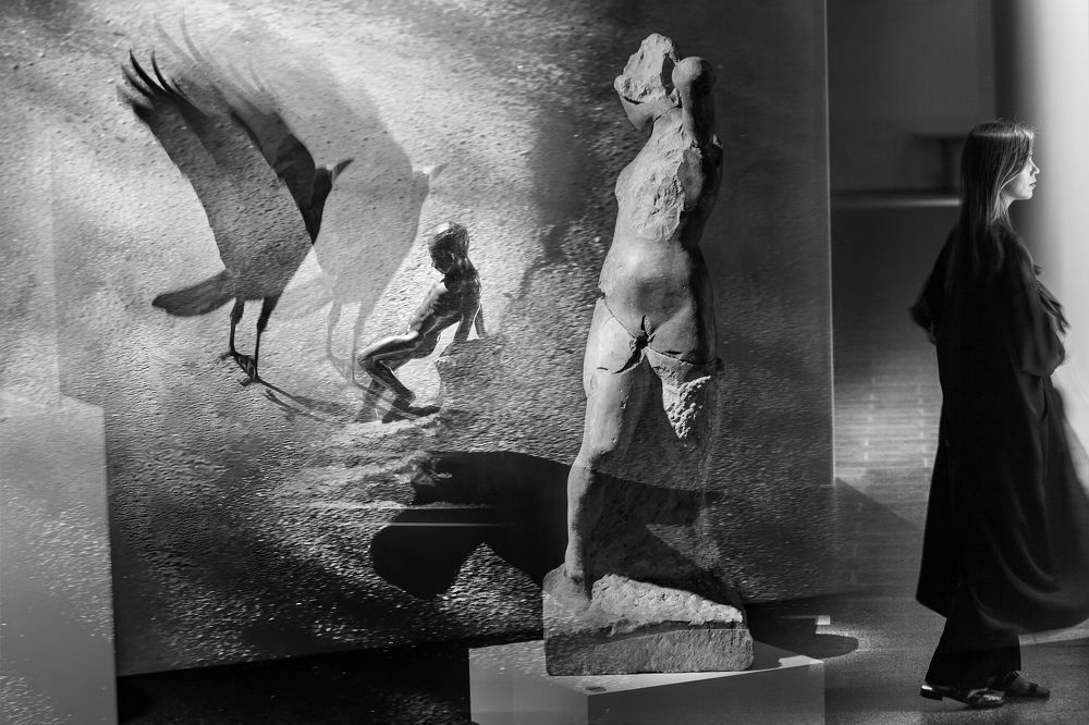 Чёрная птица.