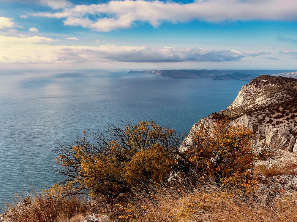 Photograph by Виктория Сметанина