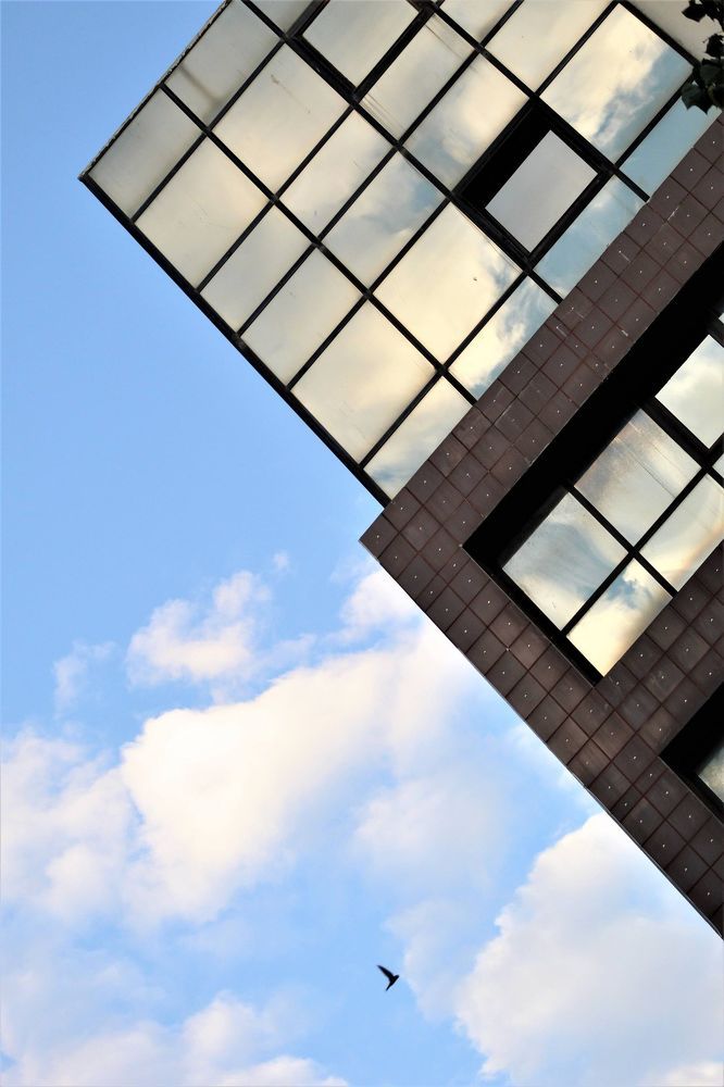 The sky is the limit