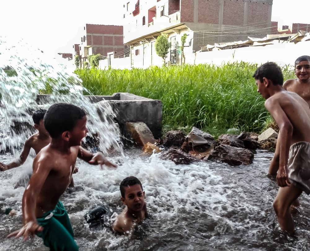 Фотография автора Adel elqamhawi Mohamed