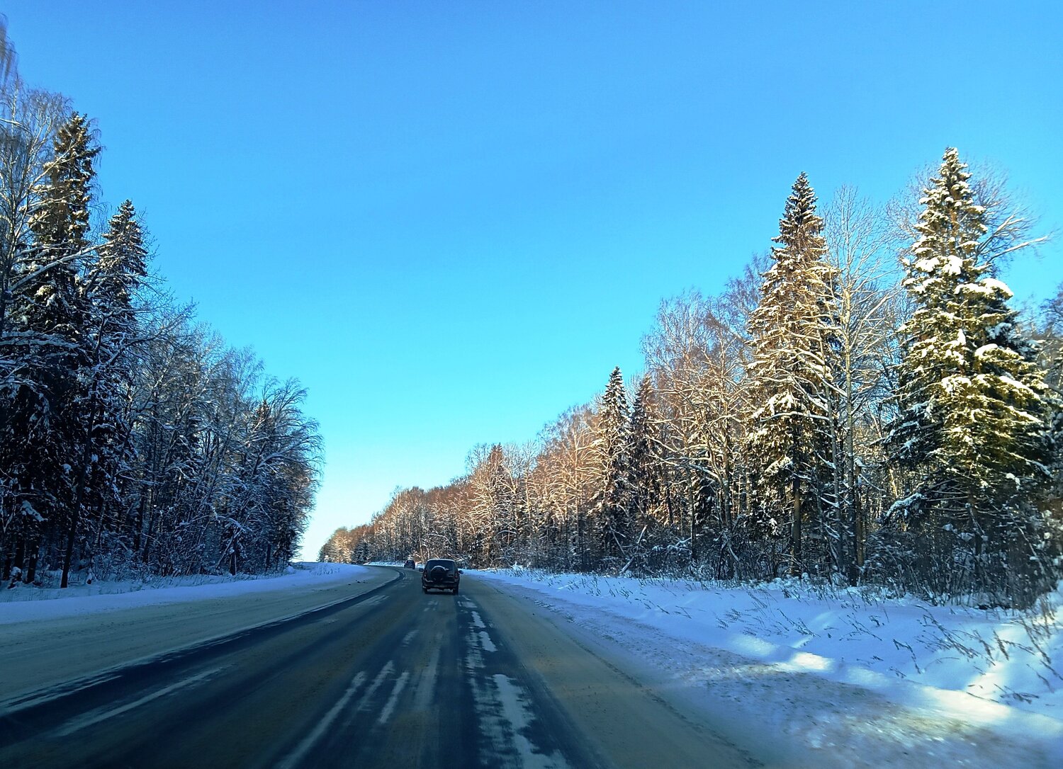 Photo #6978480