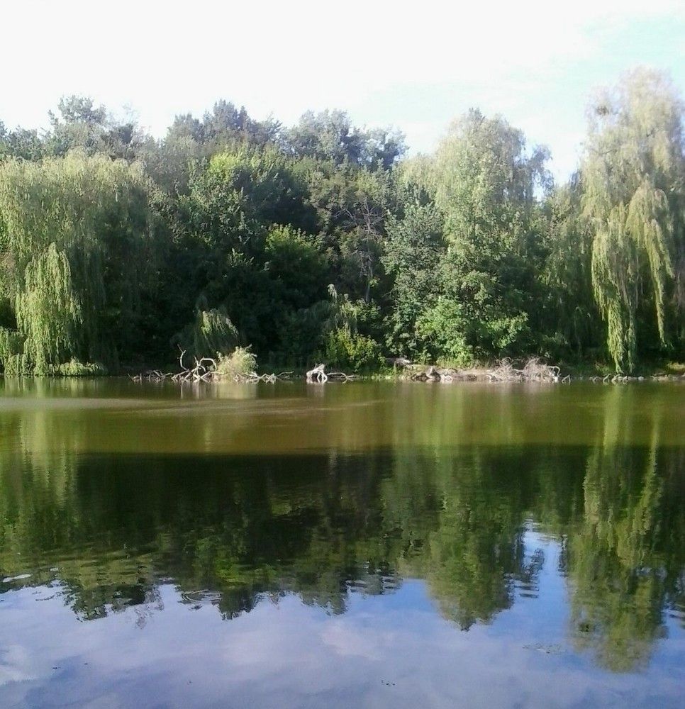Немировский парк