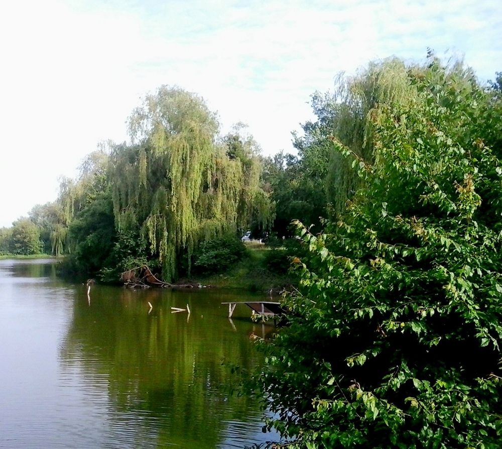 Немировский парк