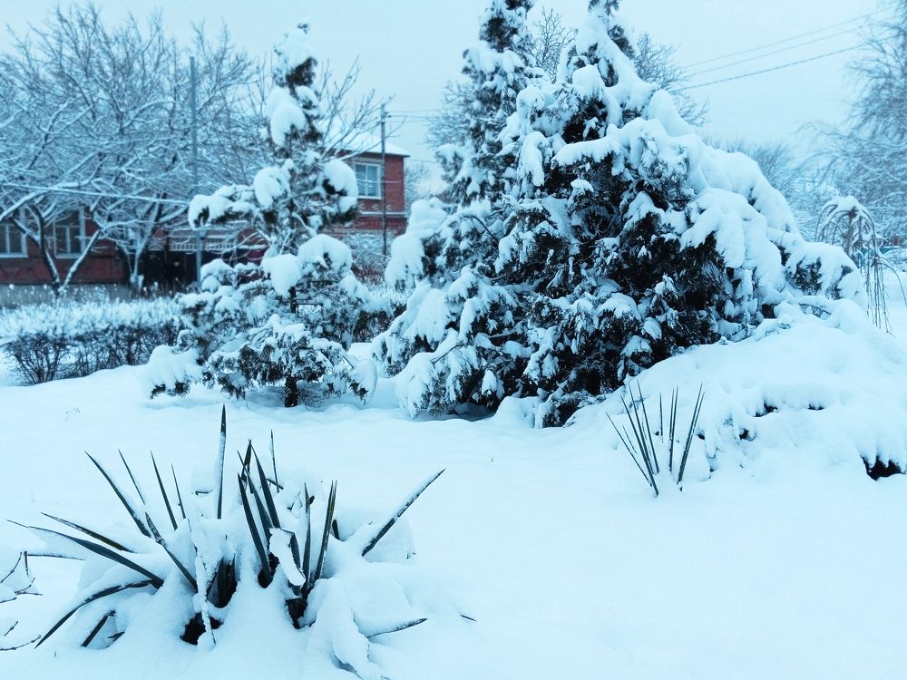 Фотография автора Светлана Зубанова