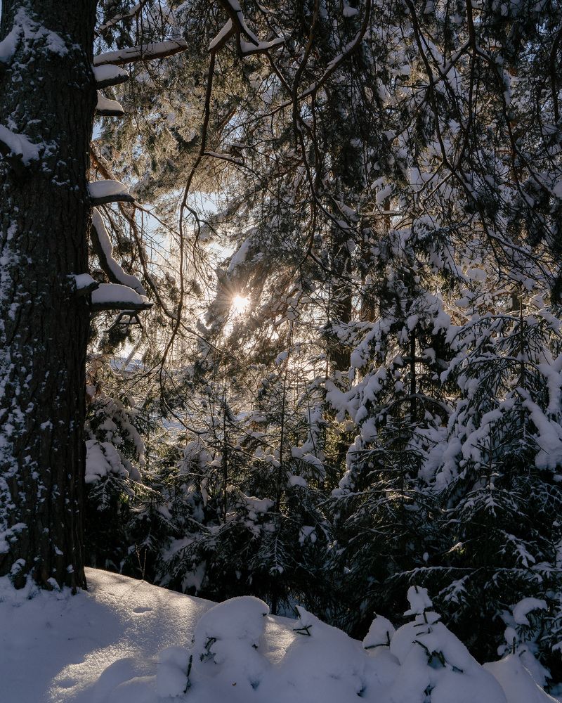 Photograph by Анна Блифернец