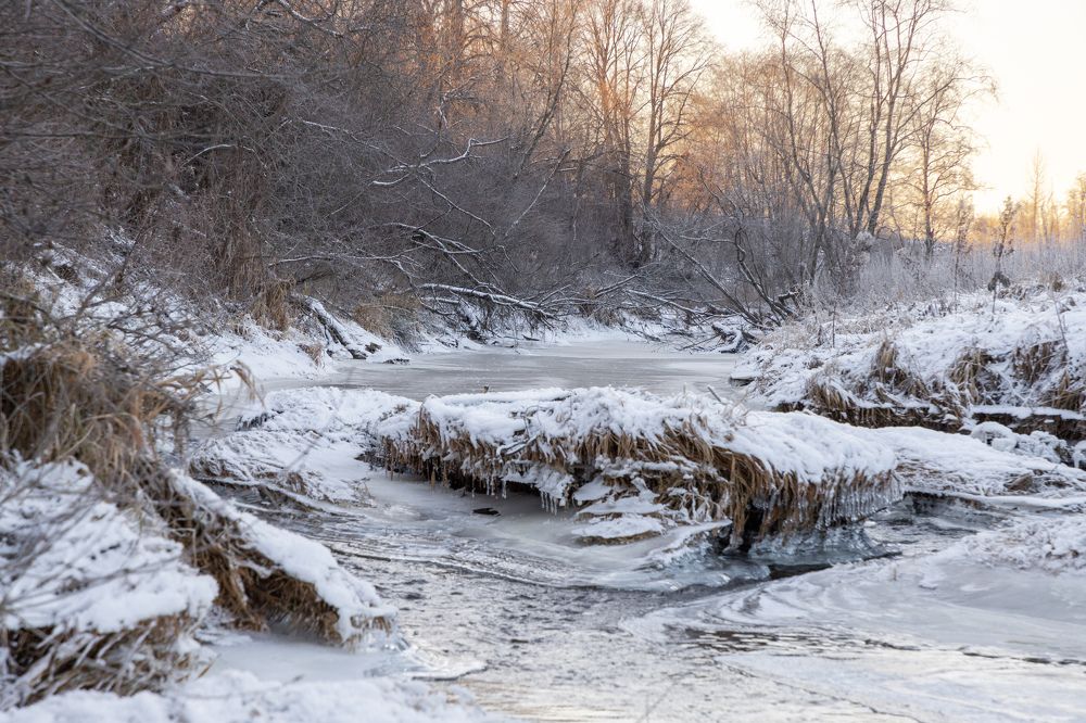 Photograph by Елена Копейкина