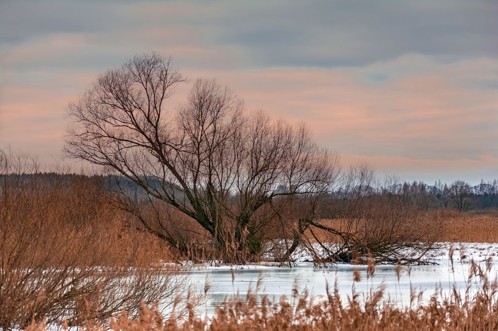 Photograph by Дмитрий Жижин