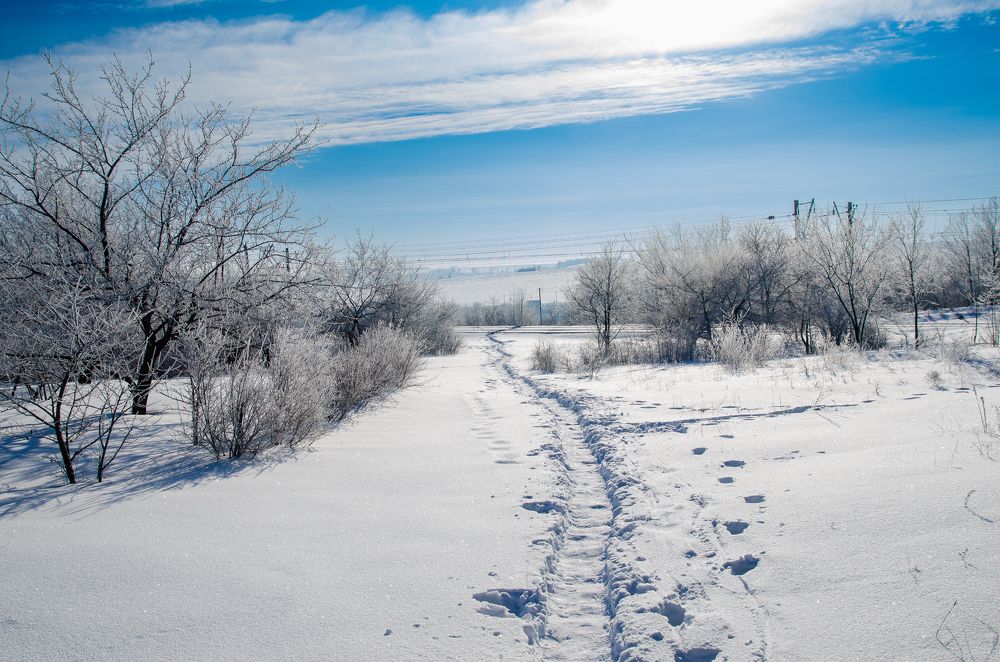 Фотография автора Тарас Гаркуша