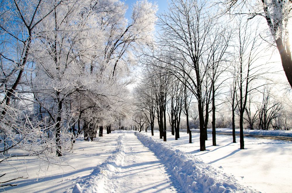 Фотография автора Тарас Гаркуша