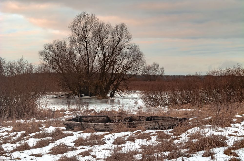 Photograph by Дмитрий Жижин