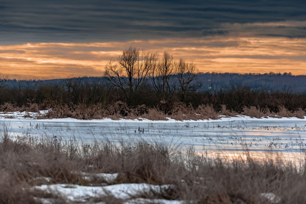 Photograph by Дмитрий Жижин