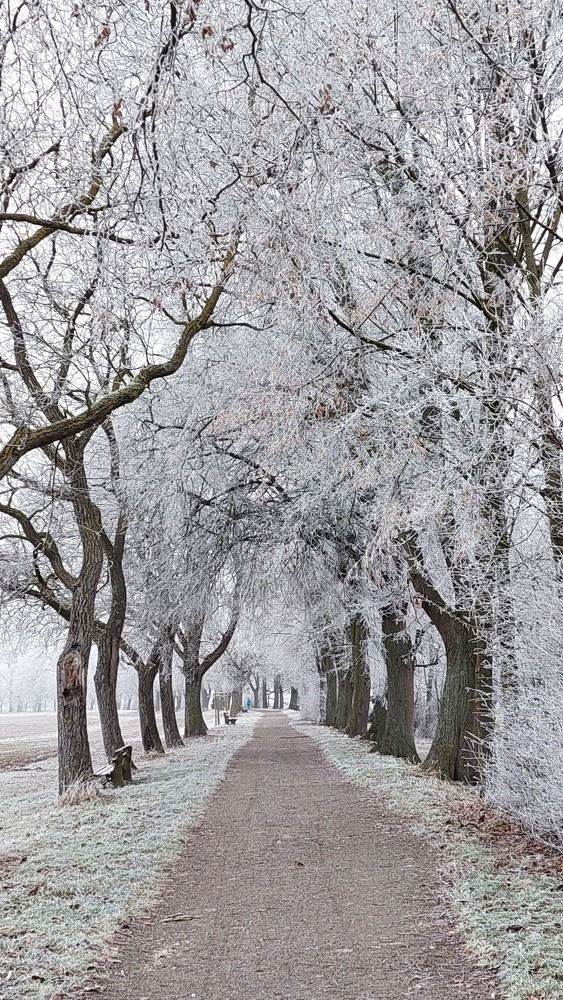 Photograph by Анастасия Ди Филиппо