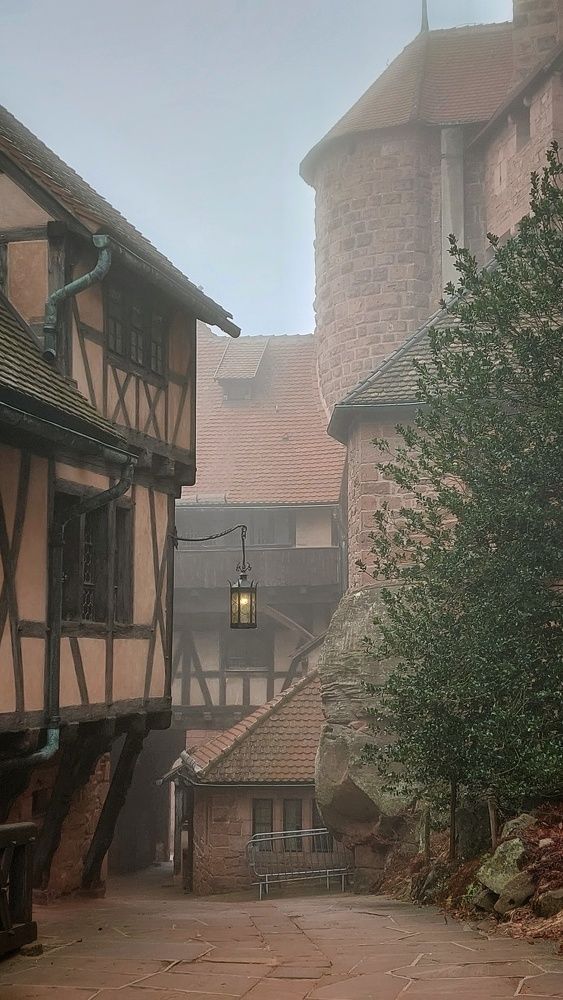 Photograph by Анастасия Ди Филиппо