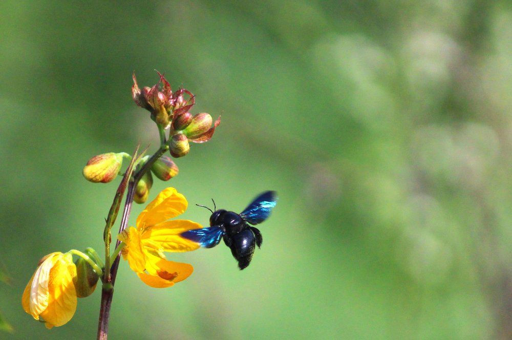 Photograph by Ramki Ramesh