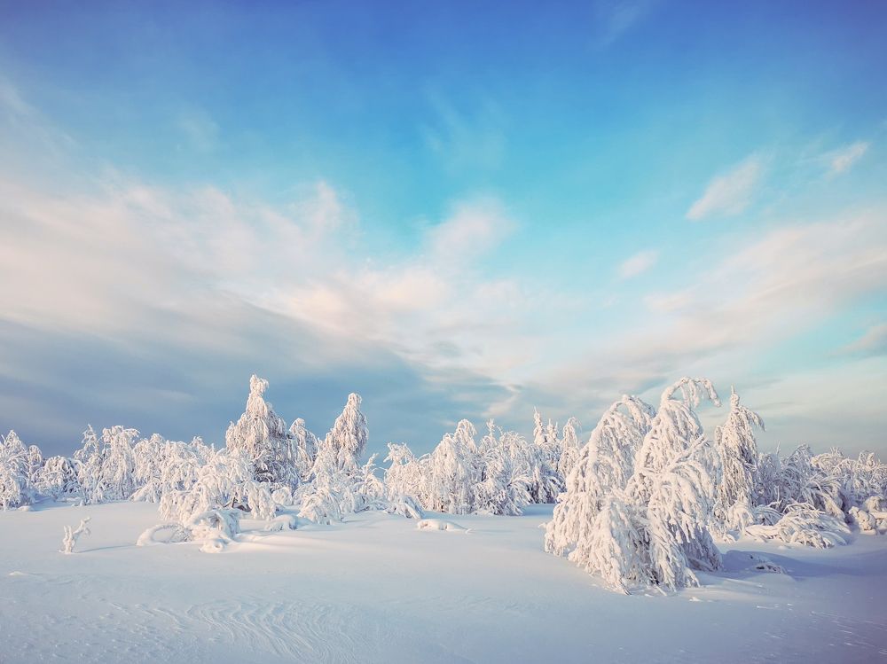 Фотография автора Наталья