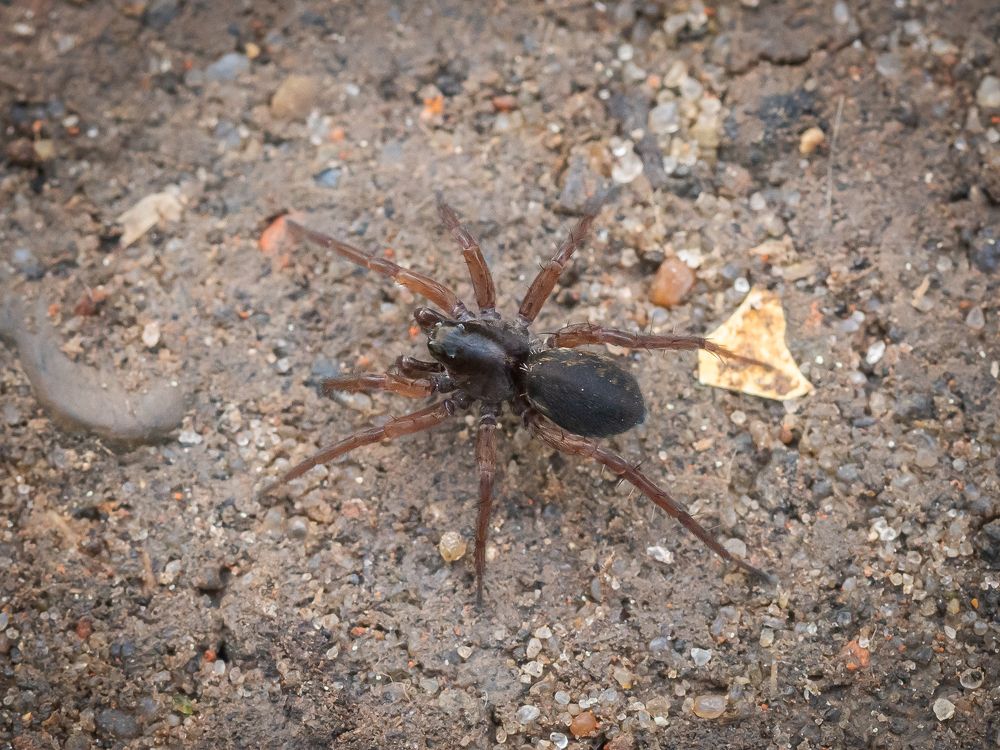 Photograph by Sergey