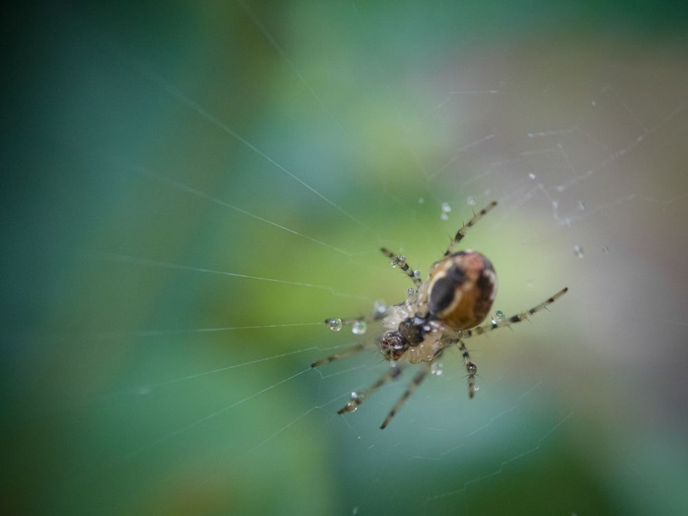 Photograph by Алексей Крукович