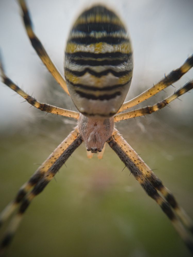 Photograph by Алексей Крукович