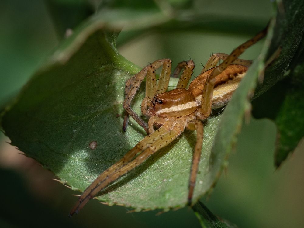 Photograph by Sergey